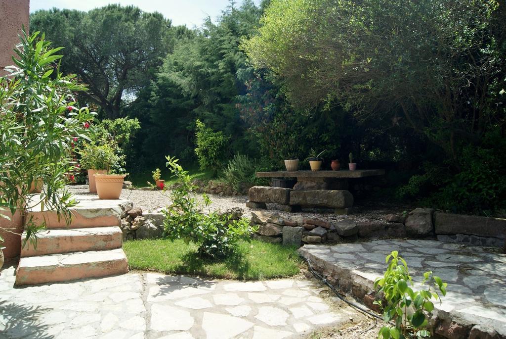 Le Mas Du Bijou Bleu Puget-sur Argens Exteriér fotografie