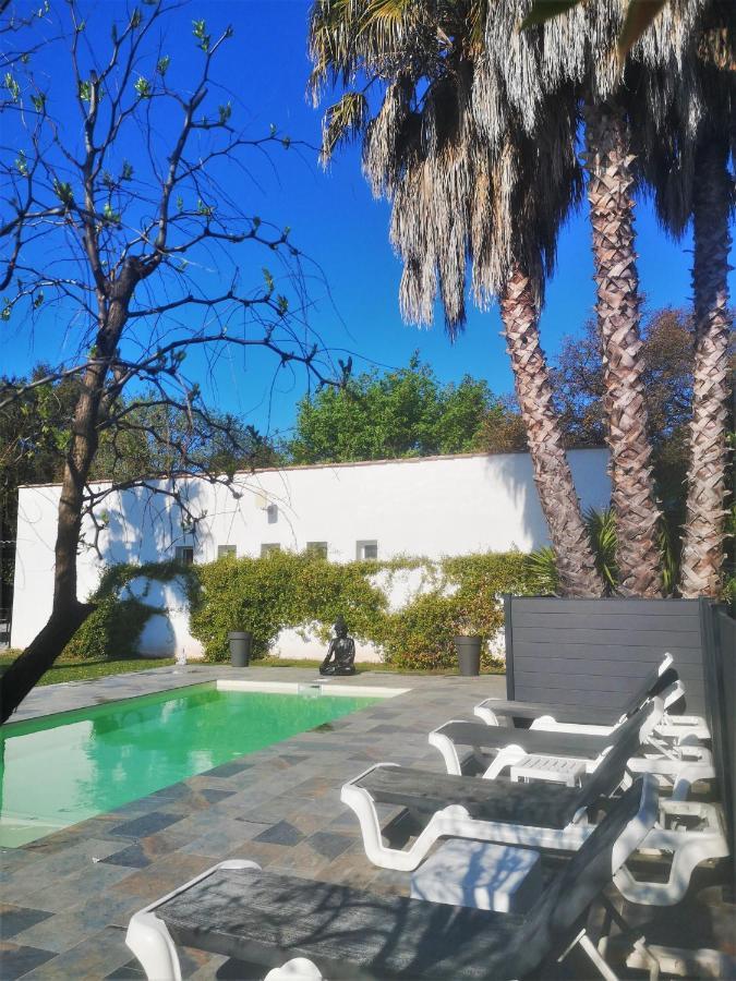 Le Mas Du Bijou Bleu Puget-sur Argens Exteriér fotografie